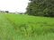 福島県南相馬市の競売物件 157万円 農地 9,378m&sup2;
