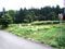 青森県むつ市の国有財産売却物件 124万円 土地 635m&sup2;