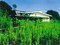 千葉県鴨川市の競売物件 604万円 戸建て 399m&sup2;