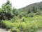 岐阜県岐阜市の競売物件 248万円 土地 1,223m&sup2;