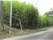鹿児島県志布志市の競売物件 266万円 土地 1,238m&sup2;