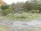 山梨県南都留郡山中湖村の競売物件 137万円 農地 386m&sup2;