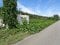 新潟県村上市の国税庁公売物件 69万円 土地 750m&sup2;