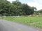 広島県山県郡北広島町の国税庁公売物件 171万円 土地 361m&sup2;