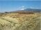 静岡県沼津市の競売物件 29万円 農地 694m&sup2;