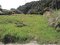 鹿児島県志布志市の競売物件 37万円 農地 1,838m&sup2;
