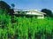 千葉県鴨川市の競売物件 604万円 戸建て 399m&sup2;