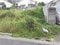 大分県別府市の競売物件 177万円 土地 500m&sup2;
