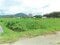 福岡県宮若市の競売物件 26万円 農地 1,563m&sup2;