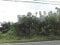 埼玉県児玉郡神川町の競売物件 47万円 農地 249m&sup2;
