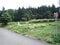 青森県むつ市の国有財産売却物件 124万円 土地 635m&sup2;
