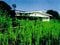 千葉県鴨川市の競売物件 363万円 戸建て 399m&sup2;