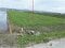 熊本県八代市の競売物件 103万円 農地 2,299m&sup2;