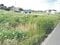 香川県丸亀市の競売物件 13万円 農地 246m&sup2;