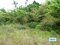 岐阜県土岐市の国税庁公売物件 511万円 農地 10,439m&sup2;