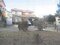 埼玉県春日部市の競売物件 1,435万円 戸建て 125m&sup2;
