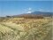 静岡県沼津市の競売物件 29万円 農地 694m&sup2;
