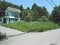 新潟県上越市の競売物件 69万円 土地 264m&sup2;