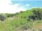 沖縄県宮古島市の競売物件 61万円 土地 1,822m&sup2;