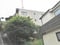 神奈川県川崎市多摩区の競売物件 1,336万円 マンション 68m&sup2;