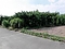 愛知県豊橋市の競売物件 55万円 農地 626m&sup2;