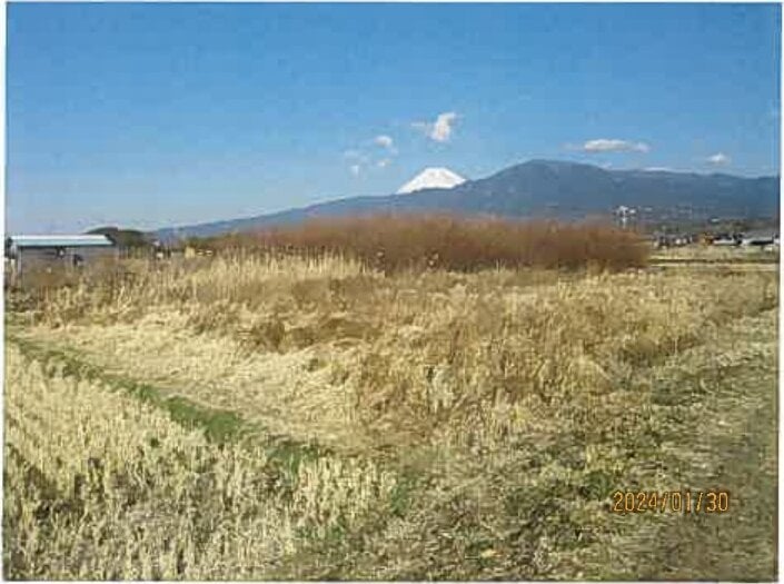  東原