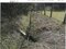 鹿児島県熊毛郡南種子町 一戸建て 395万円の競売物件 #47