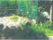(値下げ) 徳島県徳島市 文化の森駅 土地 118万円の競売物件 #4