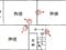 兵庫県明石市 朝霧駅11分 一戸建て 409万円の競売物件 #2