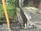 (値下げ) 佐賀県唐津市 鬼塚駅7分 戸建て 421万円の競売物件 #7