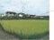 (値下げ) 兵庫県加古川市 尾上の松駅10分 土地 805万円の競売物件 #6