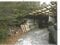 山口県宇部市 床波駅13分 戸建て 122万円の競売物件 #6