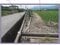 山梨県西八代郡市川三郷町 市川大門駅10分 農地 157万円の競売物件 #15