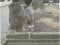 滋賀県犬上郡甲良町 尼子駅10分 戸建て 811万円の競売物件 #3