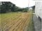 富山県下新川郡朝日町 泊駅16分 戸建て 123万円の競売物件 #10