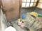 (値下げ) 長崎県東彼杵郡川棚町 川棚駅11分 戸建て 196万円の競売物件 #23
