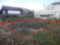 (値下げ) 静岡県浜松市浜名区 三ヶ日駅7分 土地 44万円の官公庁公売物件 #3