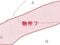 (値下げ) 茨城県桜川市 岩瀬駅22分 土地 97万円の競売物件 #6