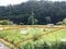 宮城県登米市 陸前横山駅1分 土地 146万円の官公庁公売物件 #4