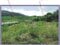 (値下げ) 山梨県西八代郡市川三郷町 市川大門駅14分 農地 62万円の競売物件 #12