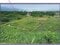 (値下げ) 山梨県西八代郡市川三郷町 市川大門駅14分 農地 62万円の競売物件 #3