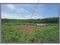 (値下げ) 山梨県西八代郡市川三郷町 市川大門駅14分 農地 62万円の競売物件 #7
