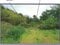 (値下げ) 山梨県笛吹市 甲斐住吉駅 農地 733万円の競売物件 #12