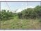 (値下げ) 山梨県笛吹市 甲斐住吉駅 農地 733万円の競売物件 #49