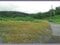 (値下げ) 山梨県笛吹市 甲斐住吉駅 農地 733万円の競売物件 #64