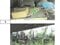 (値下げ) 徳島県小松島市 中田駅4分 戸建て 174万円の競売物件 #4