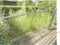 千葉県銚子市 下総豊里駅1分 戸建て 225万円の競売物件 #9