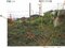 広島県広島市安佐南区 下祇園駅21分 土地 2,391万円の競売物件 #17