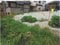 広島県広島市安佐南区 下祇園駅21分 土地 2,391万円の競売物件 #8