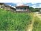 沖縄県国頭郡本部町 土地 228万円の競売物件 #8